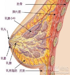 第1步